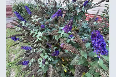 241 Caroline Hill Road, Lexington, SC 29072 - Photo 23