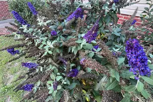 241 Caroline Hill Rd, Lexington, SC 29072 - Photo 23