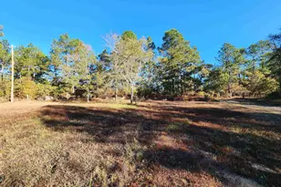 323 Haven Rd, Batesburg, SC 29006 - Photo 13