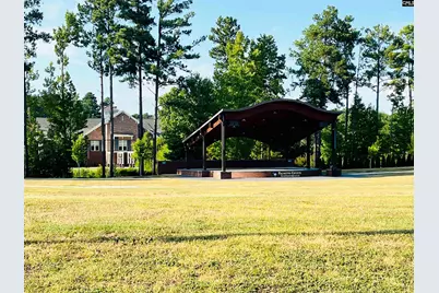 425 Destiny Farm Lane, Blythewood, SC 29016 - Photo 39
