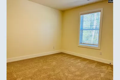 425 Destiny Farm Lane, Blythewood, SC 29016 - Photo 41