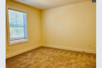 425 Destiny Farm Lane, Blythewood, SC 29016 - Photo 43