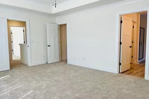 425 Destiny Farm Ln, Blythewood, SC 29016 - Photo 19