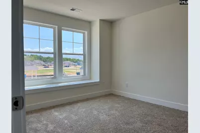 437 Destiny Farm Lane, Blythewood, SC 29016 - Photo 25
