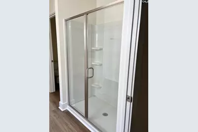 437 Destiny Farm Lane, Blythewood, SC 29016 - Photo 21