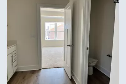 437 Destiny Farm Lane, Blythewood, SC 29016 - Photo 23