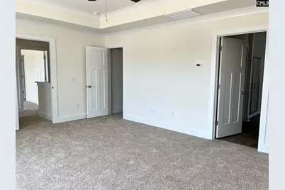 437 Destiny Farm Lane, Blythewood, SC 29016 - Photo 17