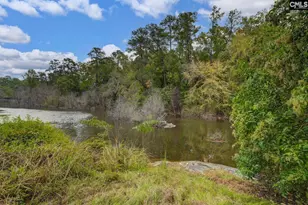 117 Summerfield Dr, Lexington, SC 29072 - Photo 7