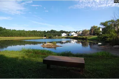 416 Buckthorne Road, Lexington, SC 29072 - Photo 31