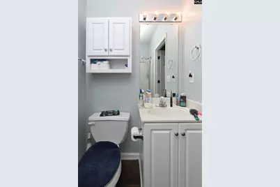 416 Buckthorne Road, Lexington, SC 29072 - Photo 27