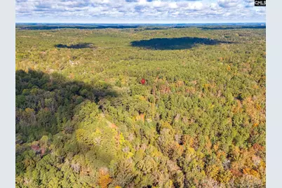 220 Courtland Road, Chapin, SC 29036 - Photo 9