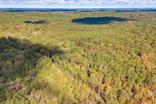 220 Courtland Rd, Chapin, SC 29036 - Photo 9