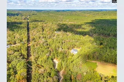 220 Courtland Road, Chapin, SC 29036 - Photo 11