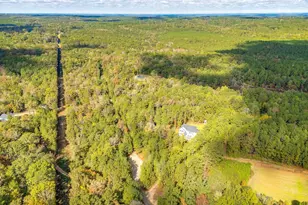 220 Courtland Rd, Chapin, SC 29036 - Photo 11