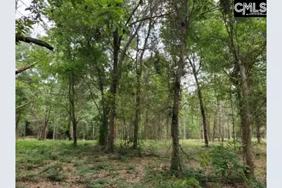 220 Courtland Road, Chapin, SC 29036 - Photo 1