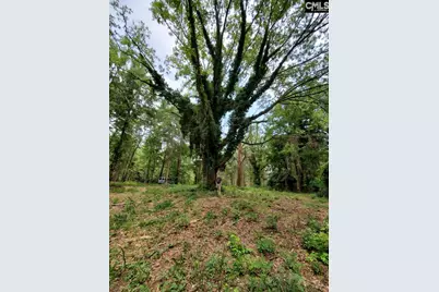 220 Courtland Road, Chapin, SC 29036 - Photo 5