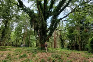 220 Courtland Rd, Chapin, SC 29036 - Photo 5