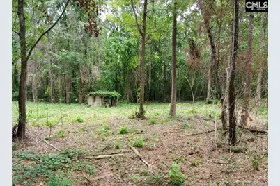 220 Courtland Road, Chapin, SC 29036 - Photo 3