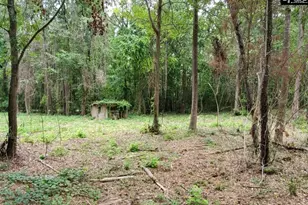 220 Courtland Rd, Chapin, SC 29036 - Photo 3