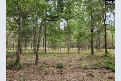 220 Courtland Road, Chapin, SC 29036 - Photo 7