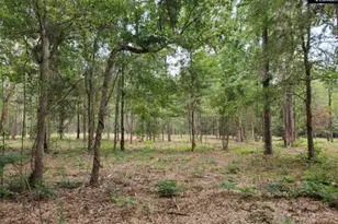 220 Courtland Rd, Chapin, SC 29036 - Photo 7