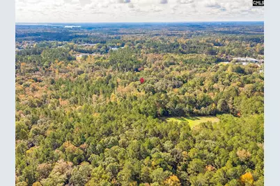 220 Courtland Road, Chapin, SC 29036 - Photo 7