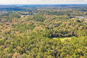 220 Courtland Rd, Chapin, SC 29036 - Photo 7