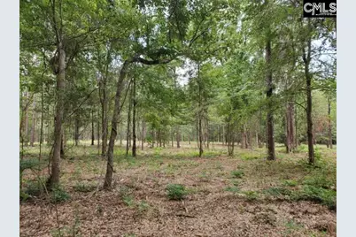 220 Courtland Road, Chapin, SC 29036 - Photo 5