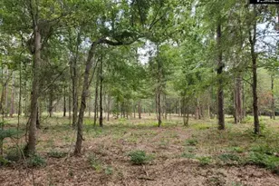 220 Courtland Rd, Chapin, SC 29036 - Photo 5