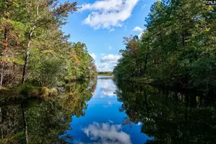 111 Crestwater Dr, Columbia, SC 29229 - Photo 73