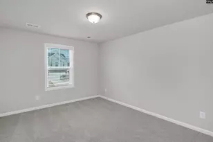 419 Dolomite Ct, Chapin, SC 29036 - Photo 31