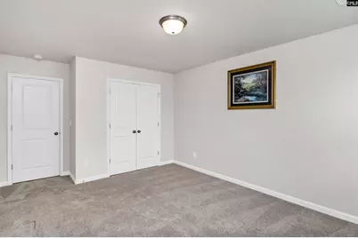 419 Dolomite Court, Chapin, SC 29036 - Photo 25