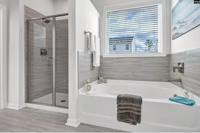 419 Dolomite Court, Chapin, SC 29036 - Photo 19