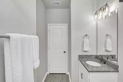 419 Dolomite Court, Chapin, SC 29036 - Photo 33