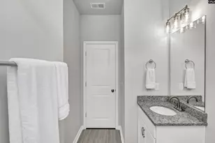 419 Dolomite Ct, Chapin, SC 29036 - Photo 33