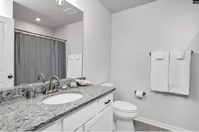 419 Dolomite Court, Chapin, SC 29036 - Photo 27