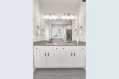 419 Dolomite Court, Chapin, SC 29036 - Photo 23