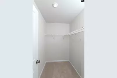 419 Dolomite Court, Chapin, SC 29036 - Photo 35