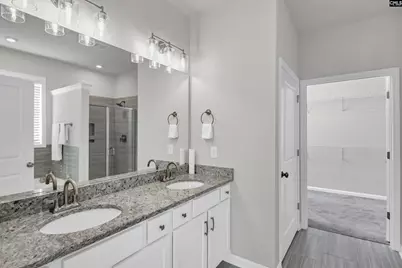 419 Dolomite Court, Chapin, SC 29036 - Photo 17