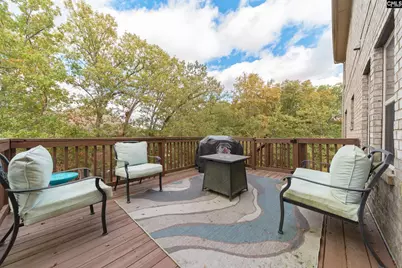 456 Beaumont Park Lane, Blythewood, SC 29016 - Photo 45