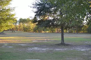 2933 Waters Road B, Bethune, SC 29009 - Photo 59