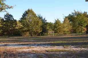 2933 Waters Road B, Bethune, SC 29009 - Photo 63