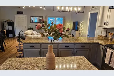 2933 Waters Road B, Bethune, SC 29009 - Photo 23