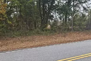 2933 Waters Road B, Bethune, SC 29009 - Photo 63