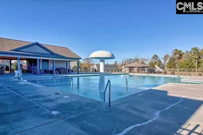175 Almofini Lane, Chapin, SC 29036 - Photo 61