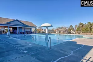 175 Almofini Ln, Chapin, SC 29036 - Photo 61