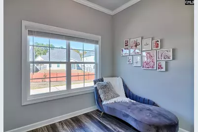 175 Almofini Lane, Chapin, SC 29036 - Photo 17