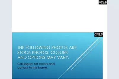 389 Mont Haven Place, Lexington, SC 29072 - Photo 3