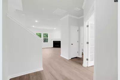 397 Mont Haven Place, Lexington, SC 29072 - Photo 3