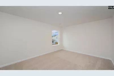 208 Livingston Woods Drive, Irmo, SC 29063 - Photo 25